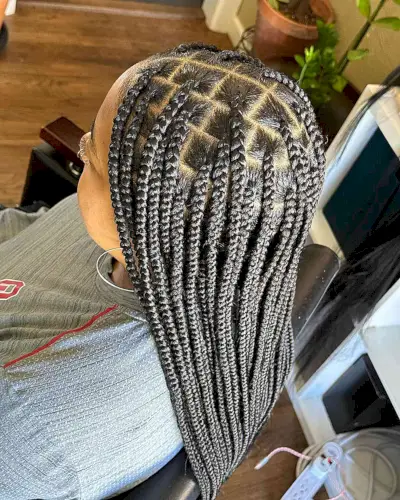 Classic Middle-Parted Knotless Box Braids on Long-Length Dark Hair