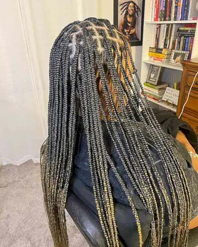 Long Black and Blonde Ombre Braids without Knots