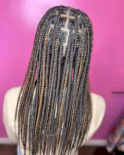 Black Box Knotless Braids with Hints of Honey Blonde for Long Hair