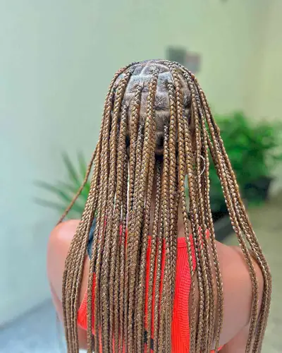 Long-Length Honey Blonde Medium Knotless Braids