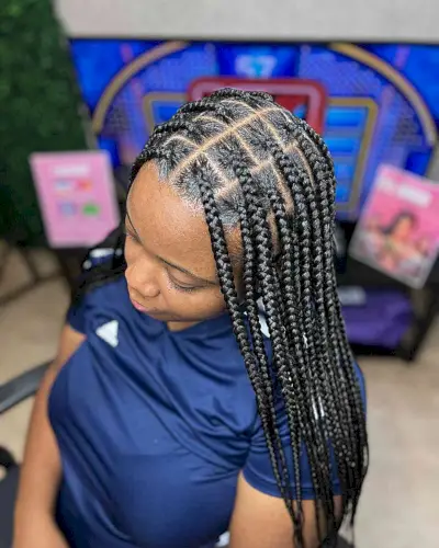 No-Knots Medium Long Braids with Center Part