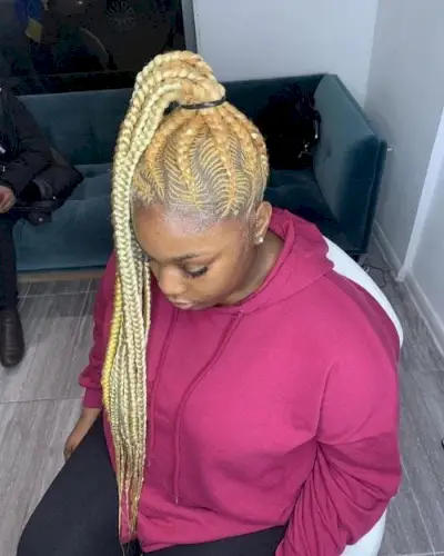 Fishbone Braided ponytail for black hair