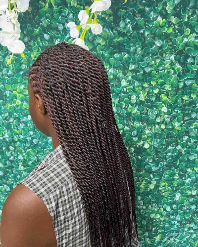 Fulani Cornrows and Twists with Pops of Red