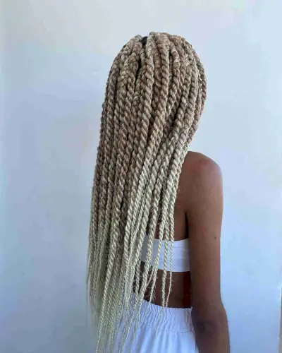 Two-Tone Blonde Twist Braids