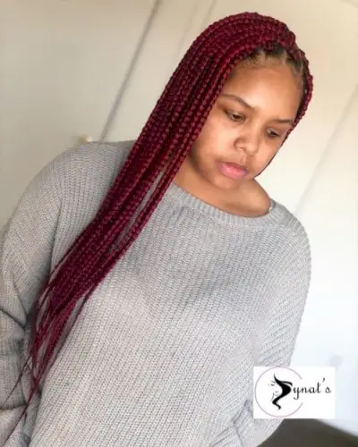 Dark Red Braids
