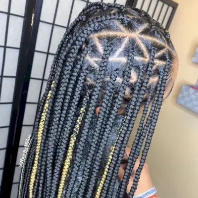 poetic justice braids with triangle parts