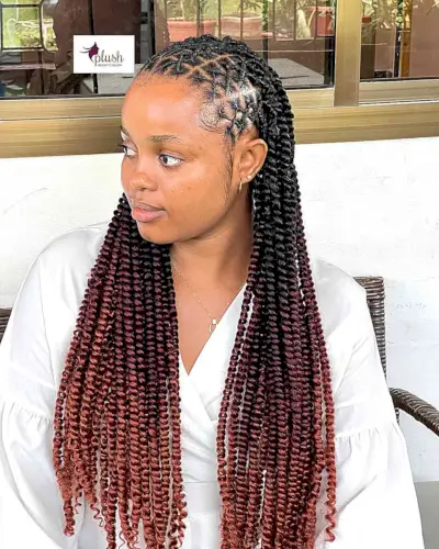 Long Spring Twists Box Braids