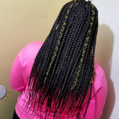 Poetic Justice Janet Jackson Inspired Braids