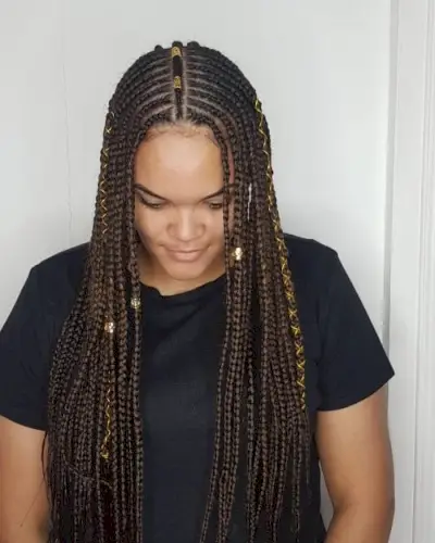 Fulani egyptian braids