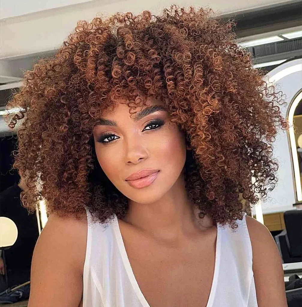 ボリュームのある髪を持つ黒人女性のための自然な太いコイル' title=