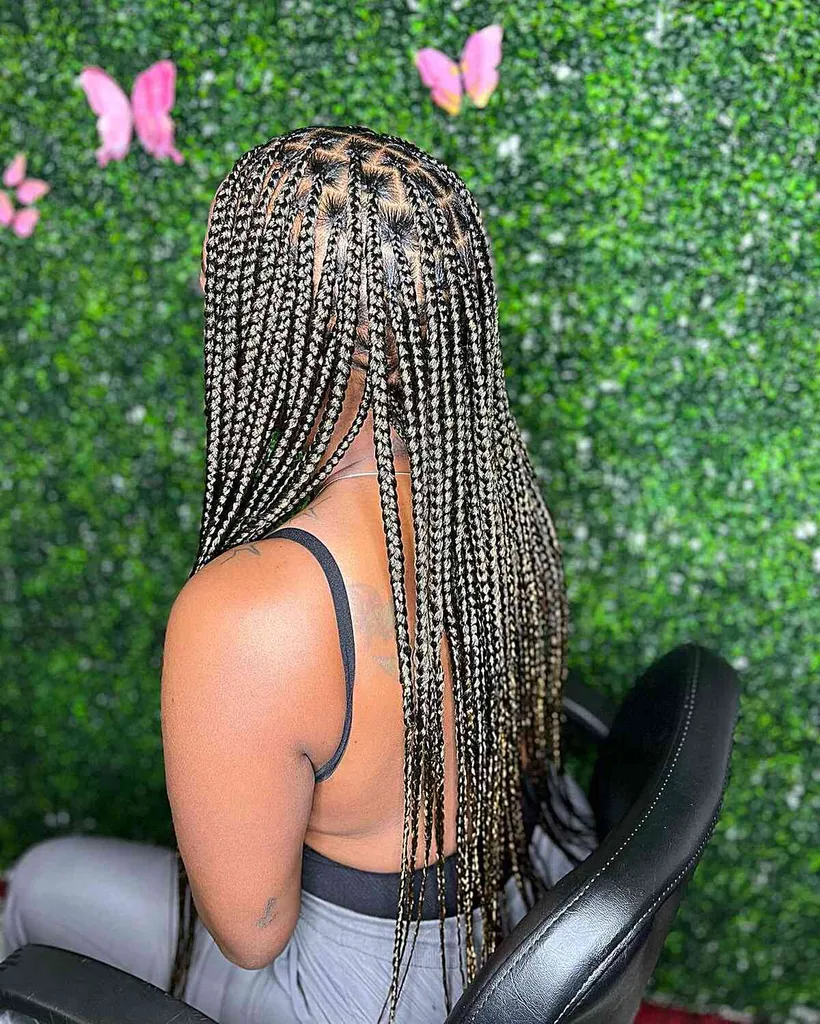 Tranças de caixa pequena na altura da cintura sem nós' title=