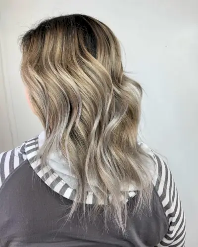 Dark Blonde with Silver Highlights