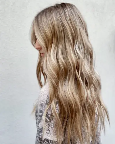 Lowlights on Golden Blonde Hair