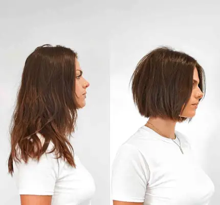 Chin-Length Chestnut Brown Blunt Bob Cut