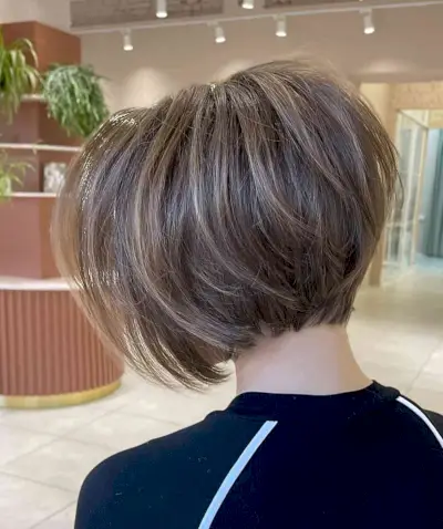 올해 40 개의 가장 인기있는 충돌을 시도 할 것입니다