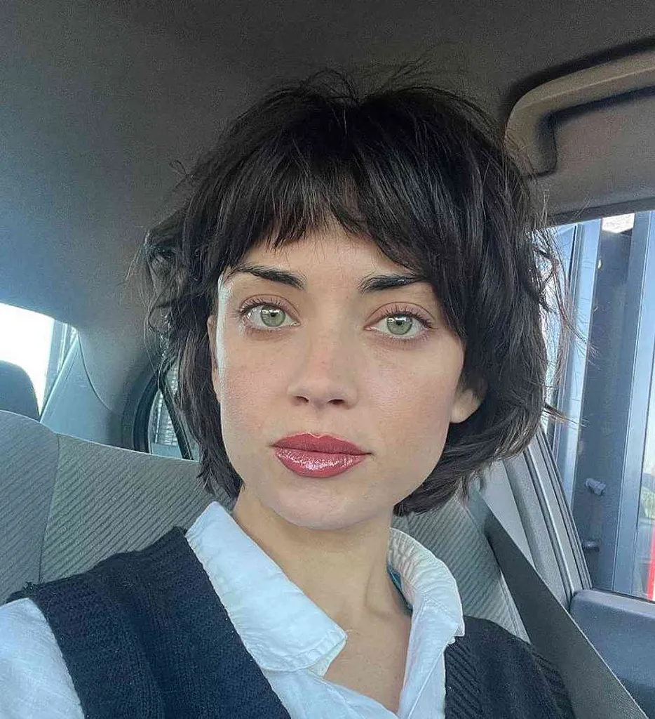 Bixie oscuro y desordenado' title=