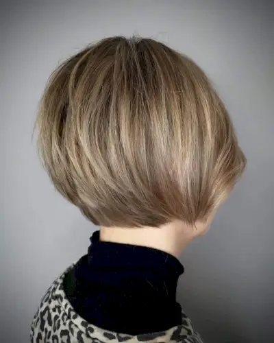 Short Layered Inverted Hair with a Back View