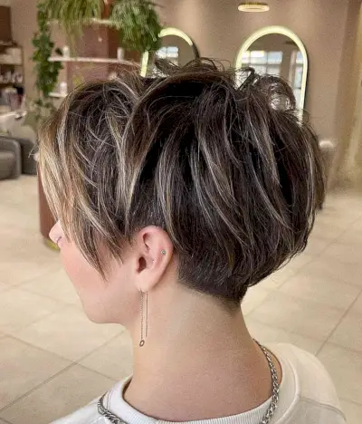 25 Bob Pixie Bob stručně řečí