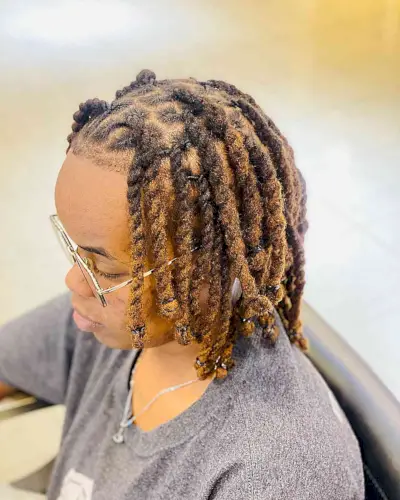 Twist Braids for Natural Hair