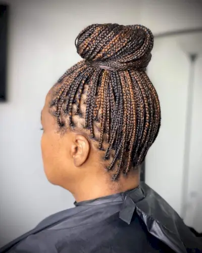 Box Braids Bun For Natural Hair