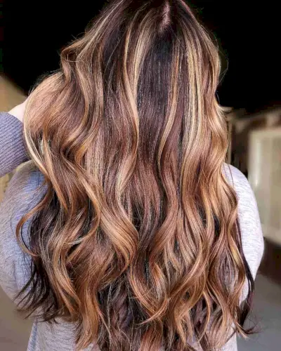 Honey Blonde Highlights on Brown Hair