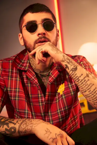 Zayn Malik משקפי שמש Arnette The Professional Campaign 2022