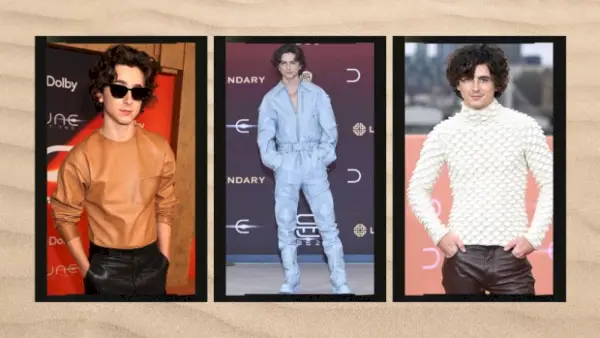 Voir Timothée Chalamet