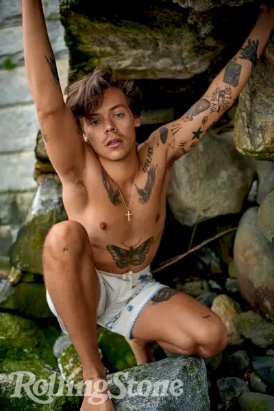 ライアン・マッギンレーがローリングストーン誌のために上半身裸のハリー・スタイルズを撮影。