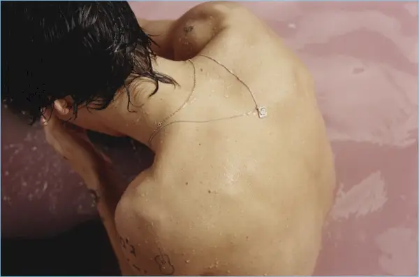 Harija Stila 2017. gada albuma noformējums 007