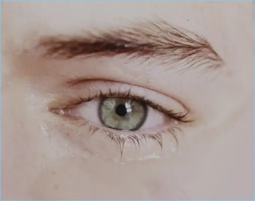 Harija Stila 2017. gada albuma noformējums 005