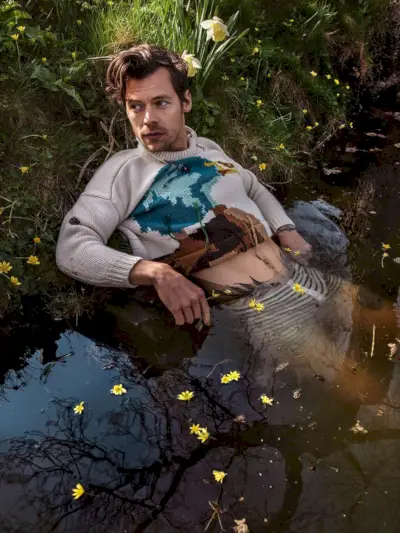 Harry Styles Sweater Boxers 2022 Sesión de fotos de mejores casas y jardines