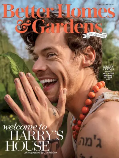 Harry Styles irradia encanto para mejores casas y jardines