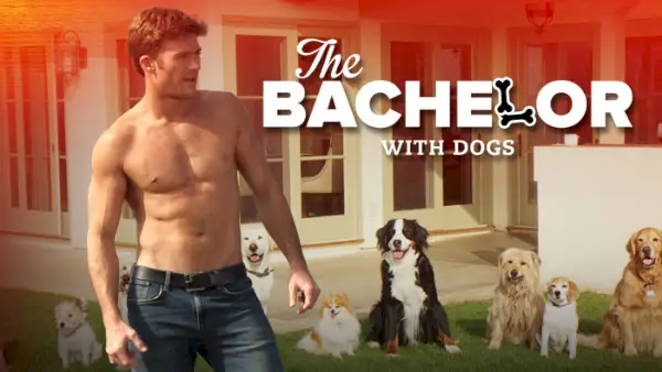 Scott Eastwood är 'The Bachelor' för Funny or Die Video