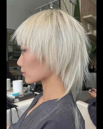 Edgy Punk Rock Platinum Mullet