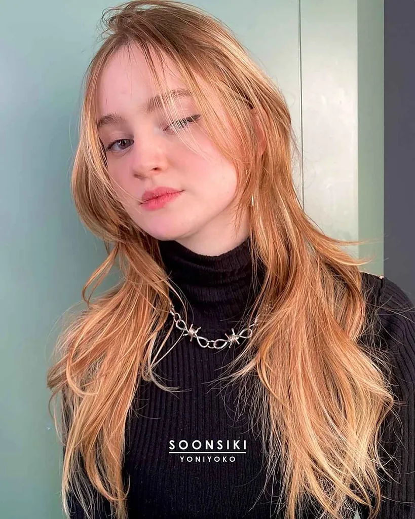 Lange ruige lagen met een gezichtsframe' title=