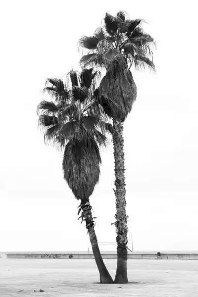 Alex Fabregas 2019 Styles Way Exclusive 008