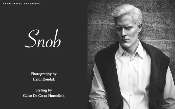 Snob: Stephen Thompson av Heidi Rondak