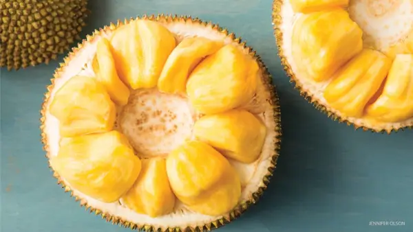 Nuovo superfood e sostituto della carne: incontra il jackfruit