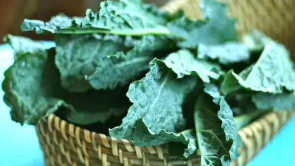 Dieta augalinėje: 5 sveikiausi maisto produktai, kuriuos turėtumėte valgyti