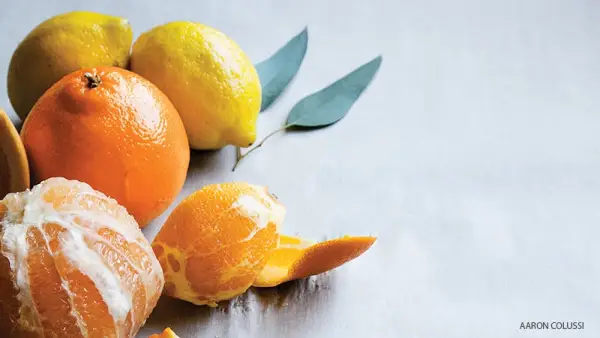 oranges, citrus, lemons