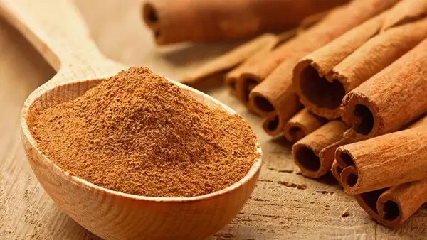 Cinnamon used for essential oils