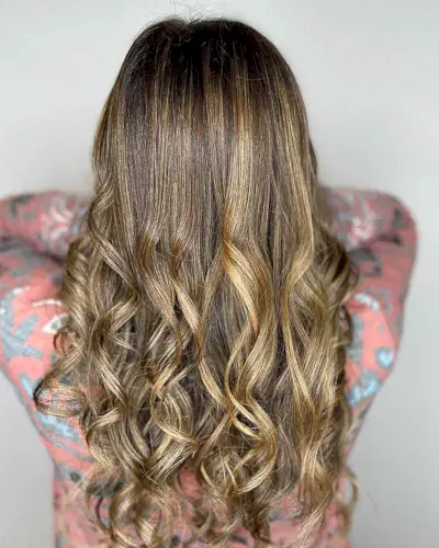 Natural Brown Hair with Golden Blonde Highlights