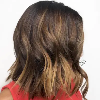 Chocolate Brown with Almond Blonde Highlights