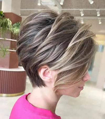 Brown Short Hair with Soft Blonde Highlights
