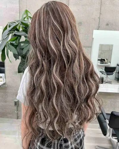 43 금발 반사와 가장 아름다운 갈색 머리 2024