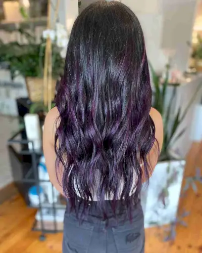 Dark Violet Purple Balayage Highlights on Black Hair