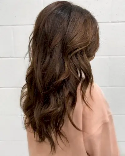 Chocolate Brown Hair with Medium Brown Highlights