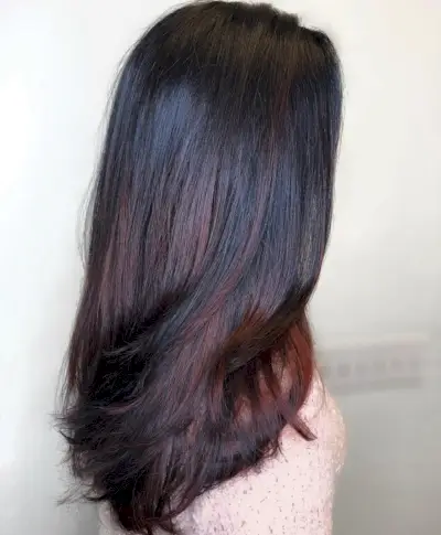 Fashionable mahogany brown highlights on long black hair