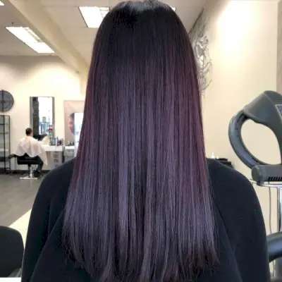 Shiny Dark Violet Purple Hair Color