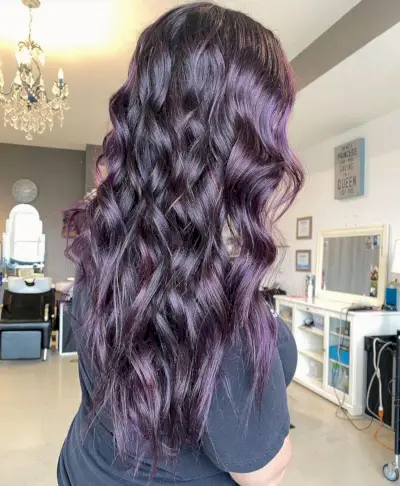 Regal Dark Purple Hair Color